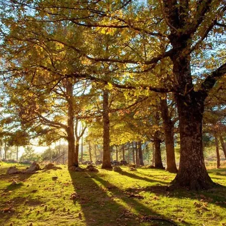 Casa Cuesta Del Reloj Holiday home Piedralaves