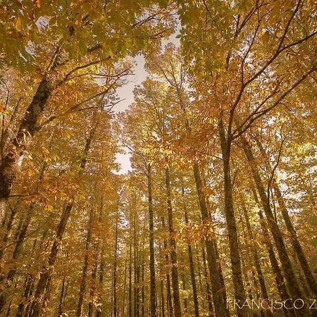 Casa Cuesta Del Reloj