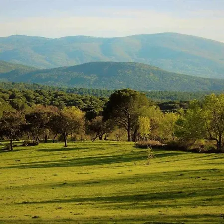 Casa Cuesta Del Reloj Holiday home Piedralaves