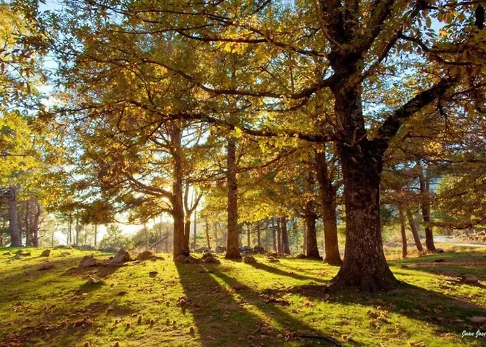 Casa Cuesta Del Reloj Ferienhaus Piedralaves
