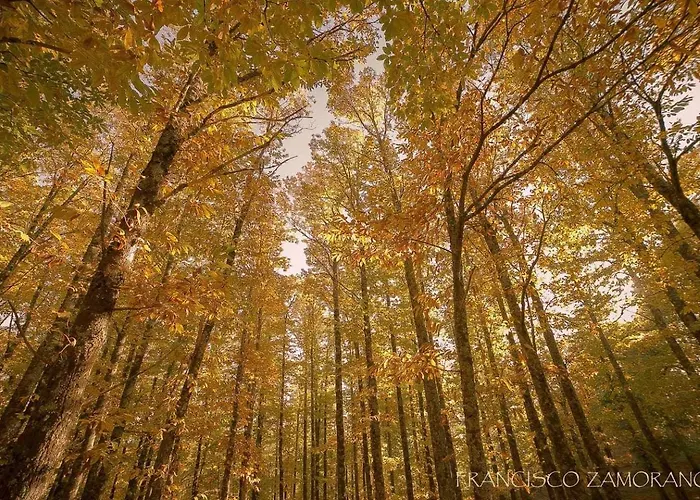 Casa Cuesta Del Reloj
